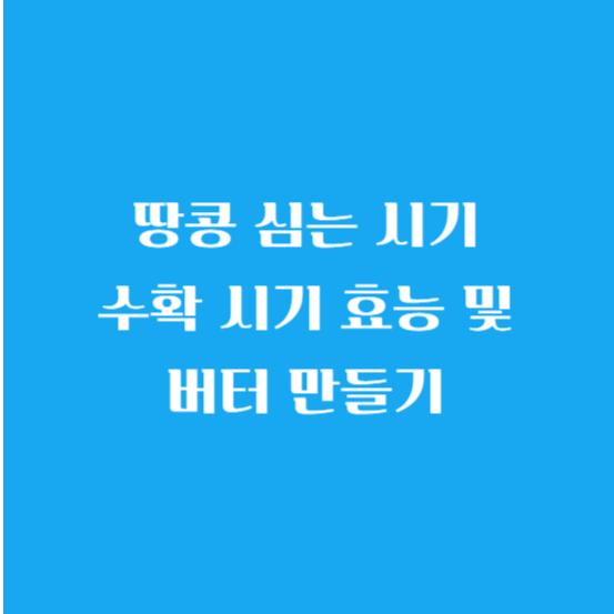 땅콩 심는 시기 수확 시기 효능 및 버터 만들기