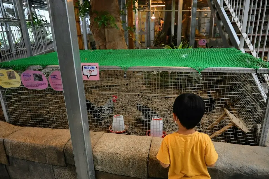 오산 버드파크 후기 사진16