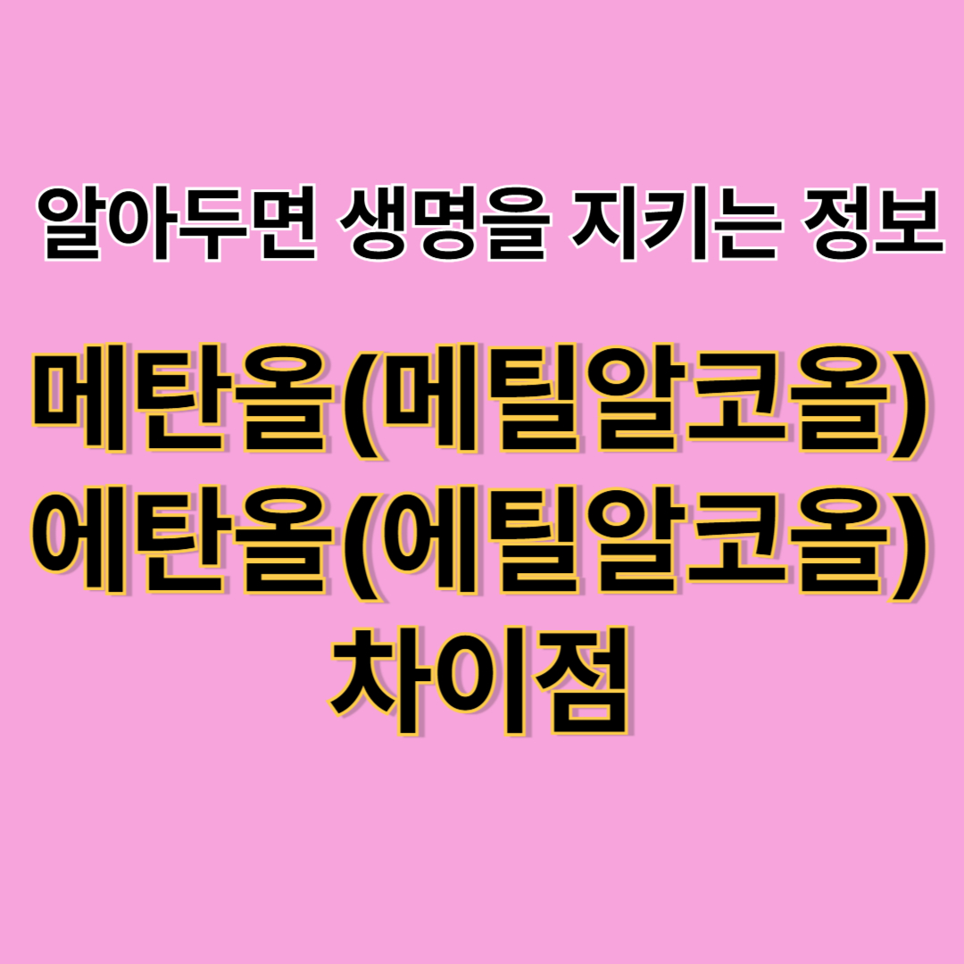 메탄올과 에탄올 차이 완전 정리 (+전북 익산 고등학교 메탄올 사고)