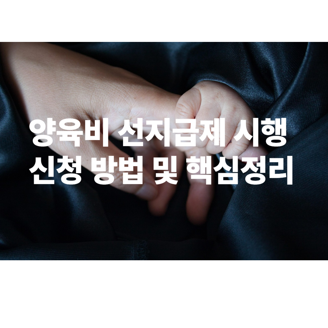 양육비 선지급제