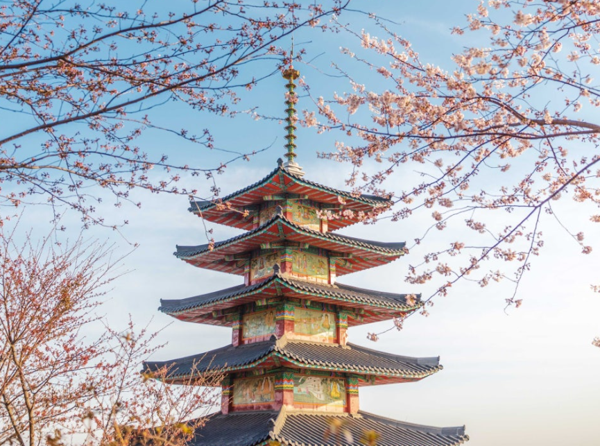 화려한 꽃잔치 태안 천리포수목원, 안면암, 코리아플라워파크 여행