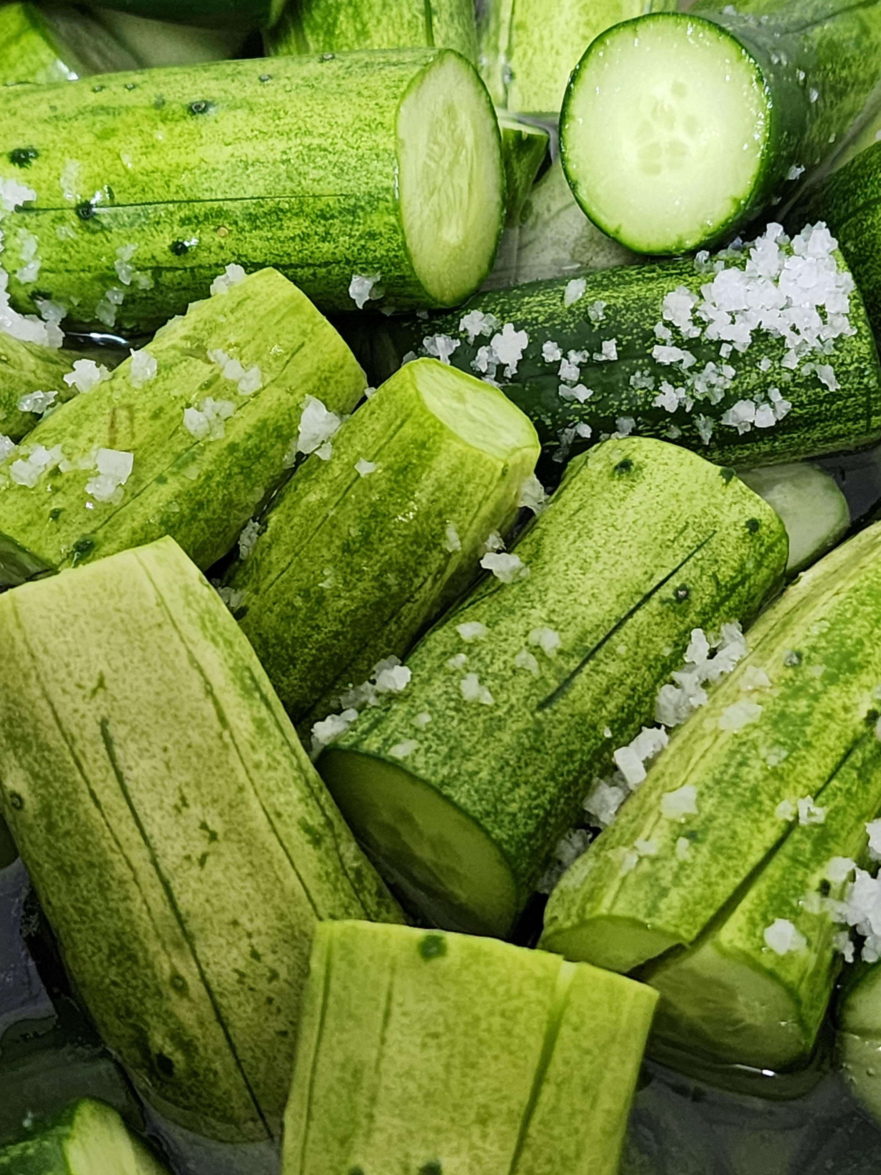 Alt 속성 문제 해결 설명 이미지