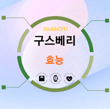 구스베리 효능 탐구