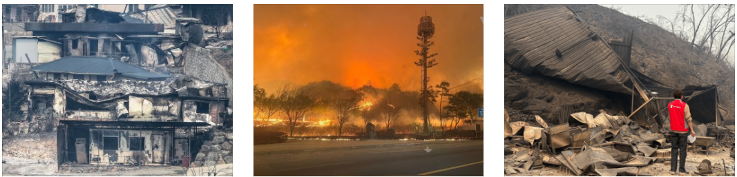 산불 피해지역 이미지