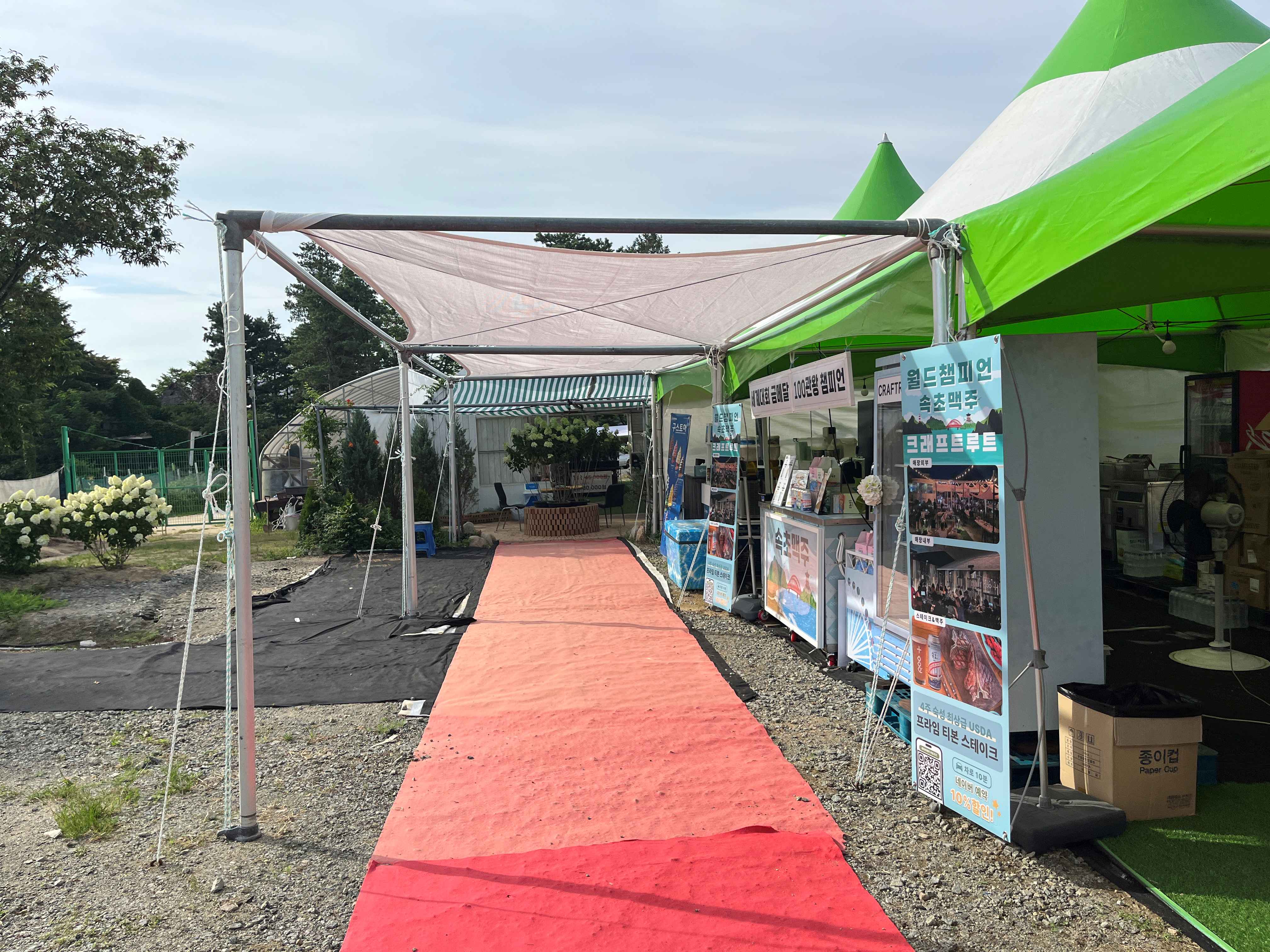 속초 영랑호 수국축제 속초수목농원