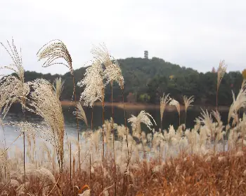 청남대 홈페이지 예약 접수_22