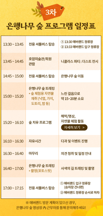 비밀의 은행나무 숲