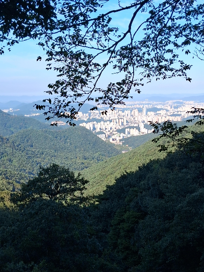토끼봉가는길에서 광주바라본모습