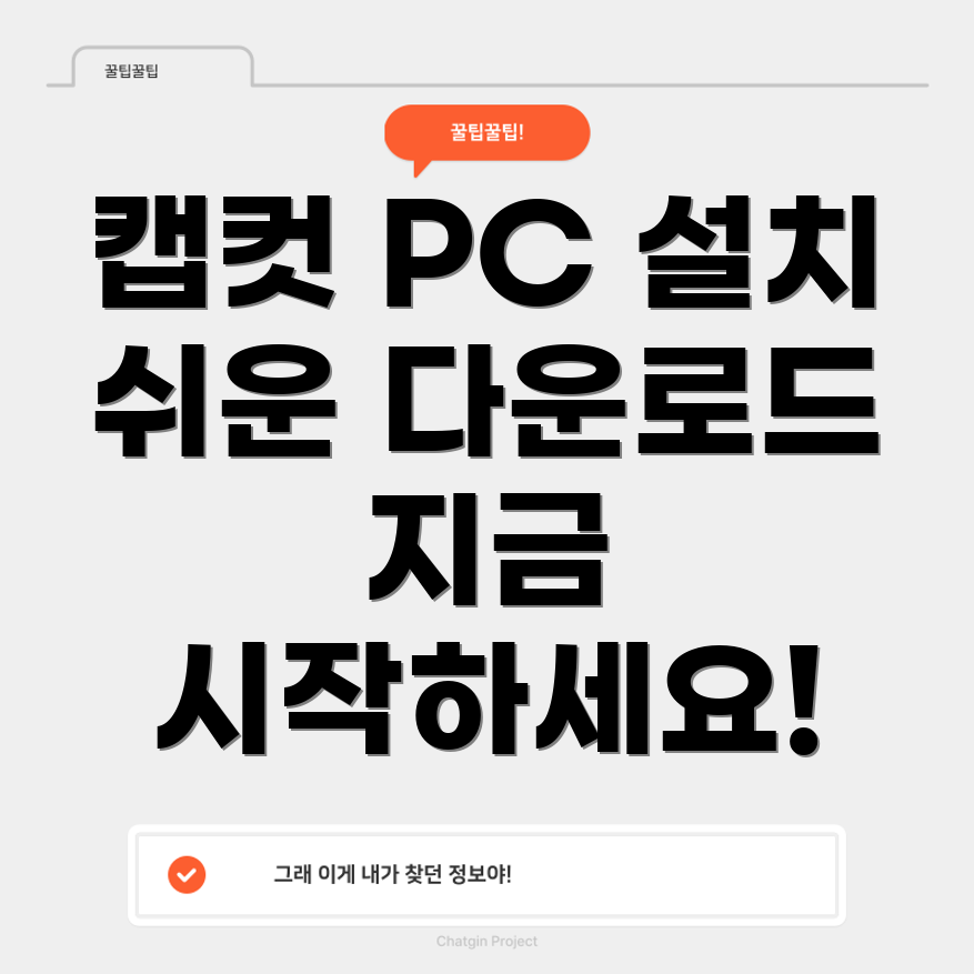 캡컷 PC 버전