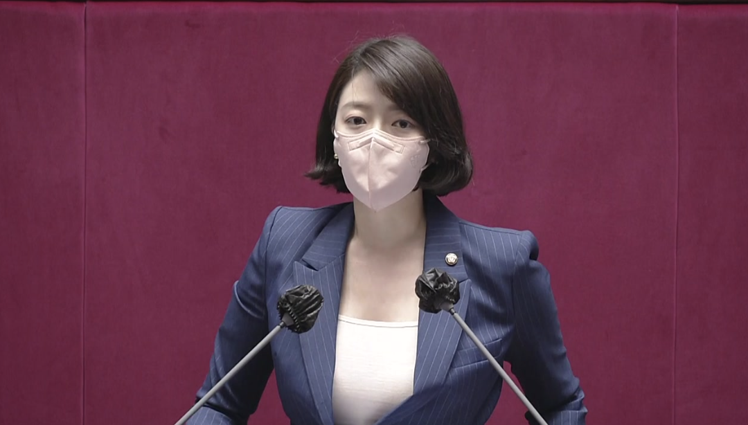 배현진 국회활동