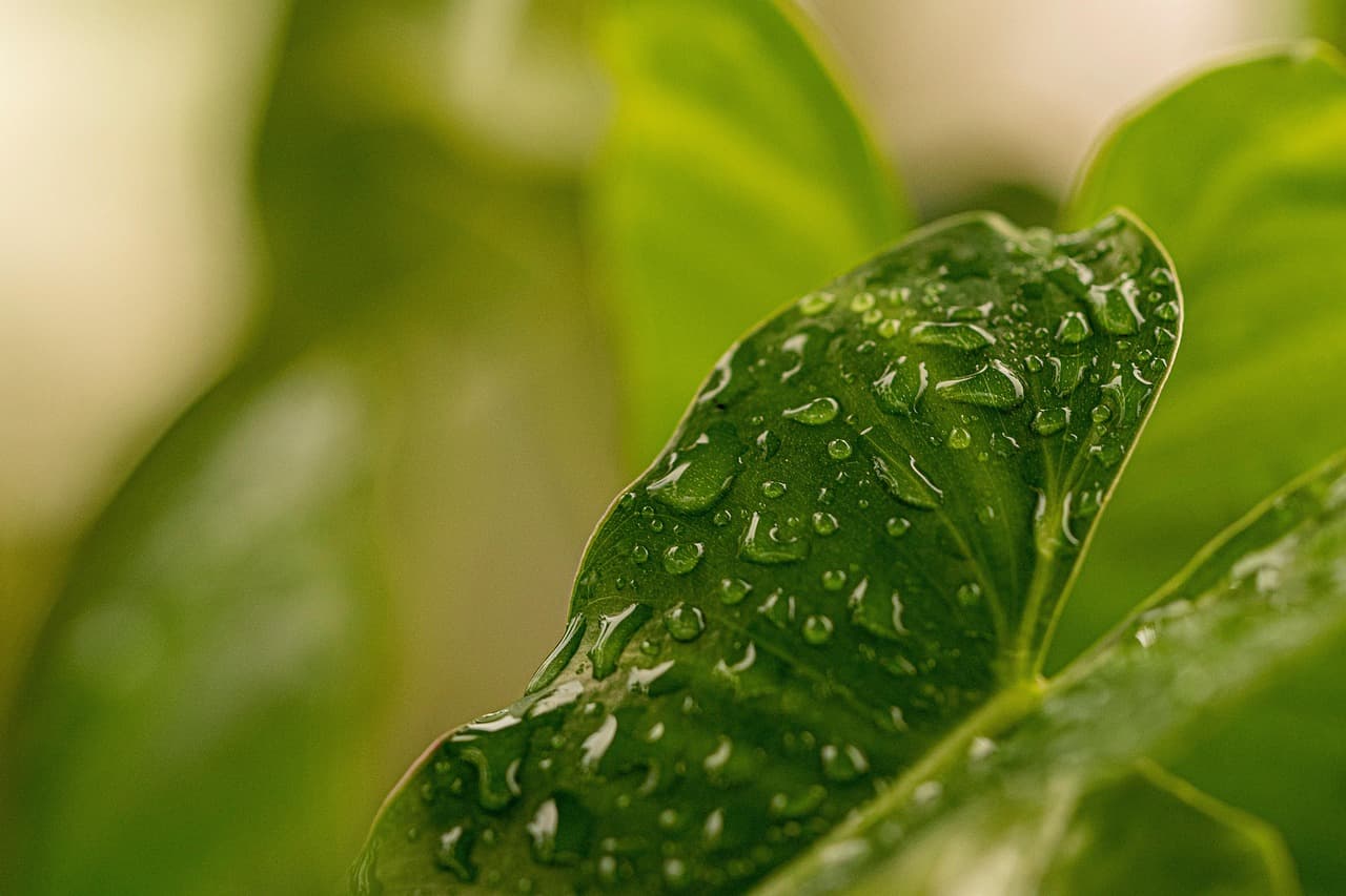 일자리의 미래, 프리랜서와 디지털 노마드가 대세가 된다?