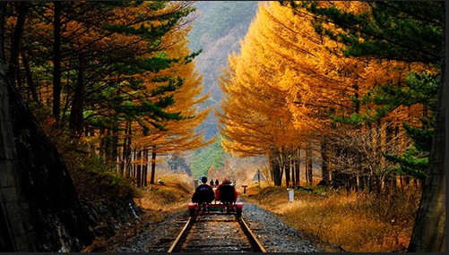 정선-레일바이크