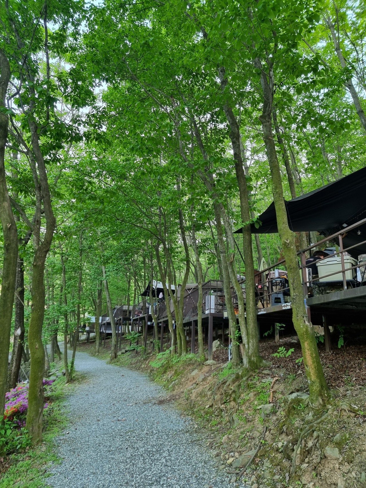 계명산 나무숲길 캠핑장