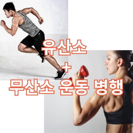 유산소운동후 무산소 운동