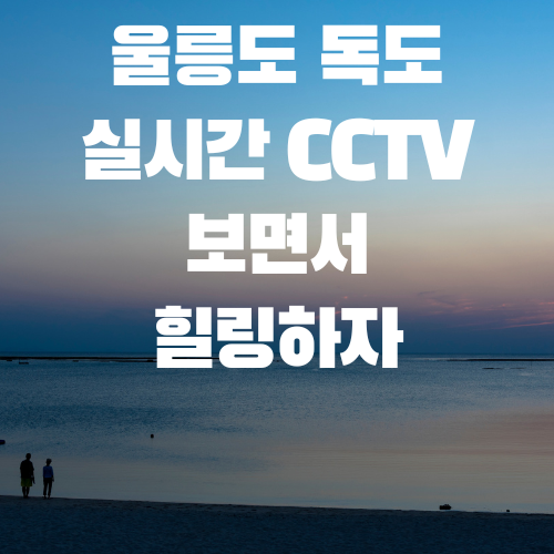 울릉도 실시간 여행지 날씨 웹 스트리밍