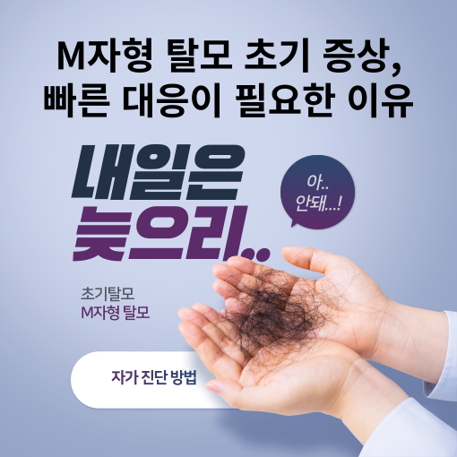 M자형-탈모