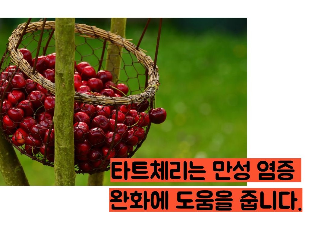 타트체리 효능