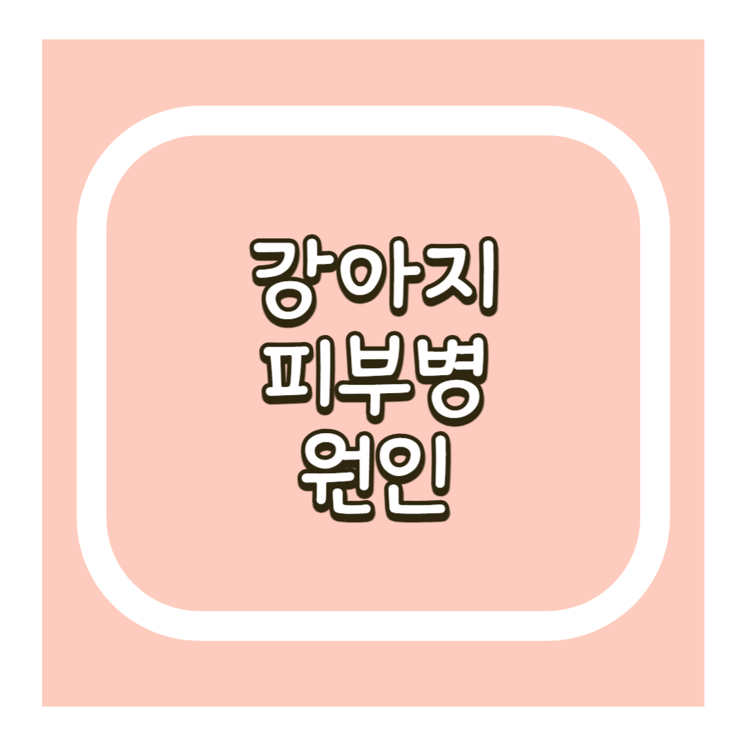 강아지 피부병 원인