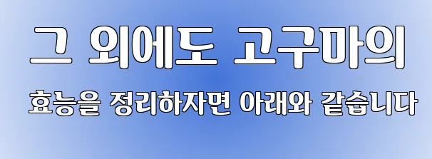  그 외에도 고구마의 효능을 정리하자면 아래와 같습니다