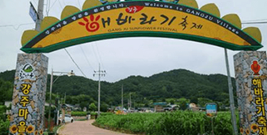 강주 해바라기 축제