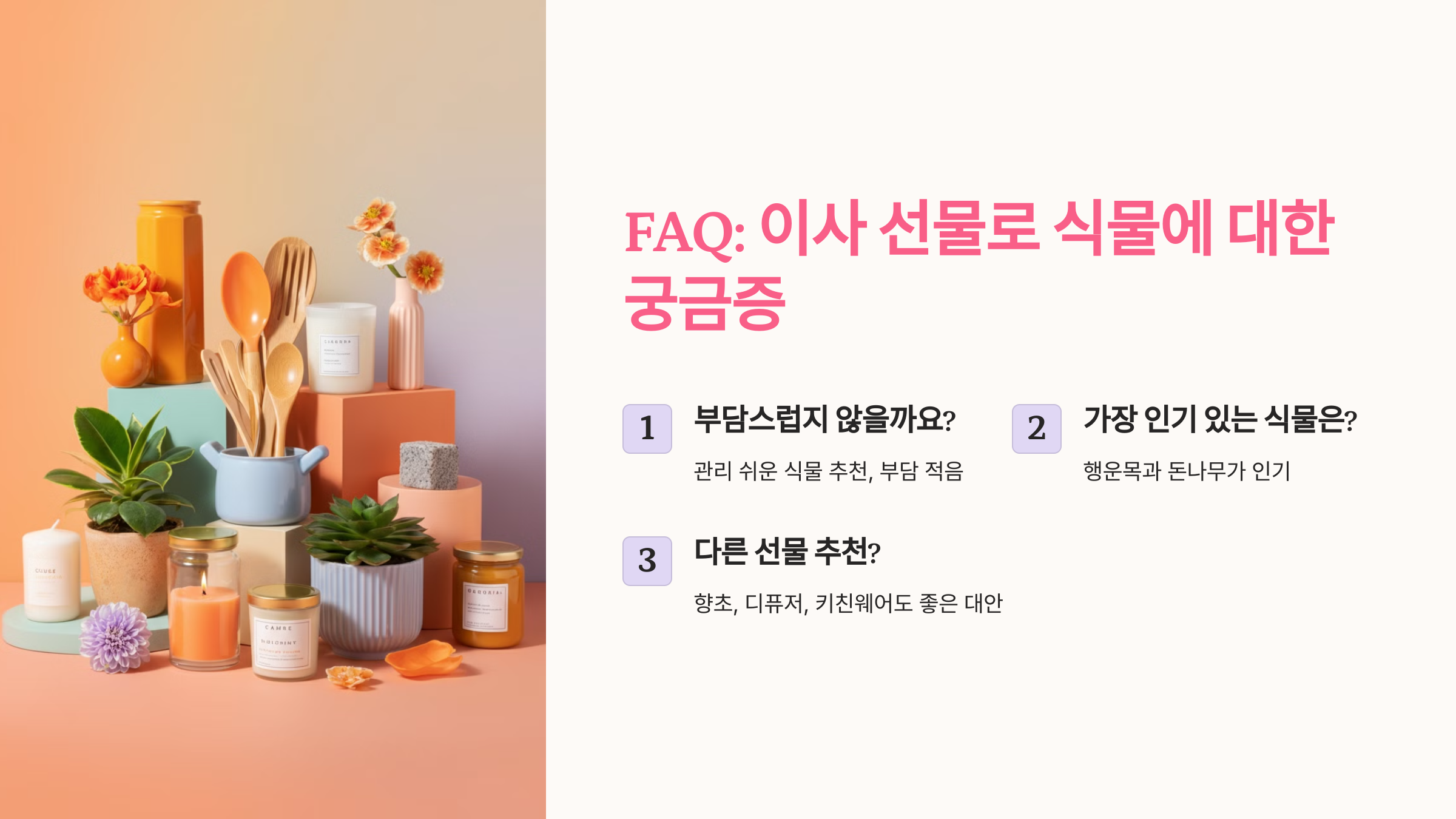 이사 선물로 식물에 대한 궁금증