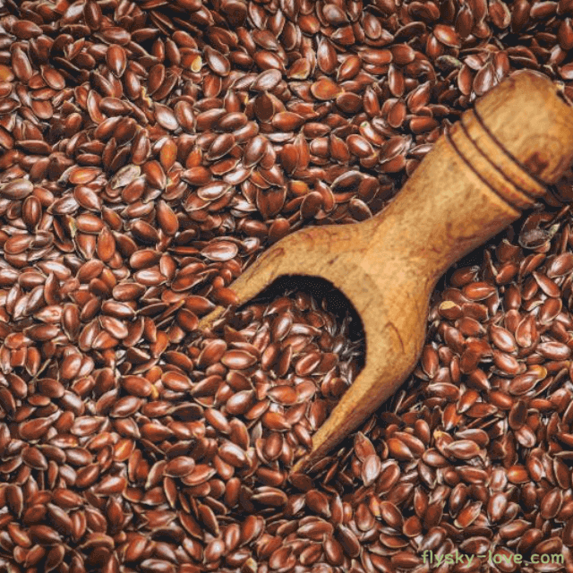 슈퍼푸드 아마씨 특징 아마씨 효능