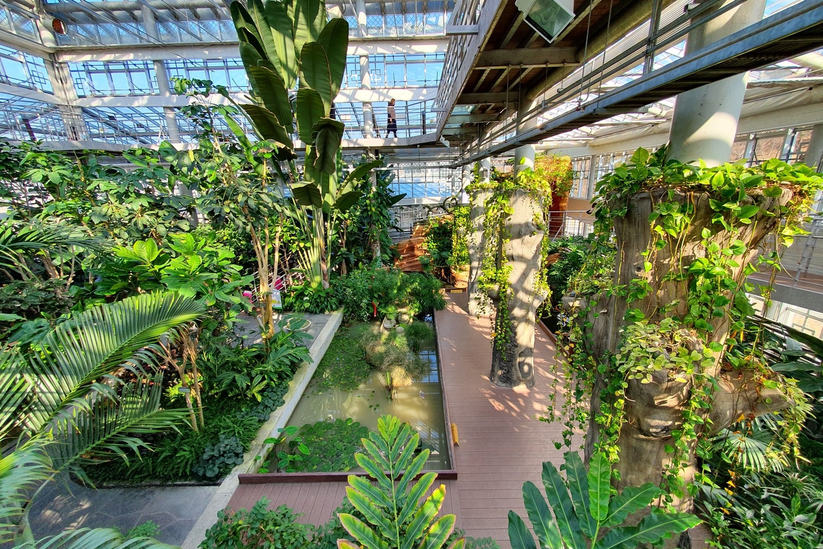 경주박물관,경주여행, 경주아이와가볼만한곳, 비오는날경주, 아이와가볼만한곳, 여름실내경주, 여름실내가볼만한곳, 경주동궁원, 동궁원,경주식물관, 경주버드파크,