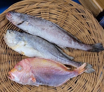 한국인의밥상-통영-성림-반건조생선