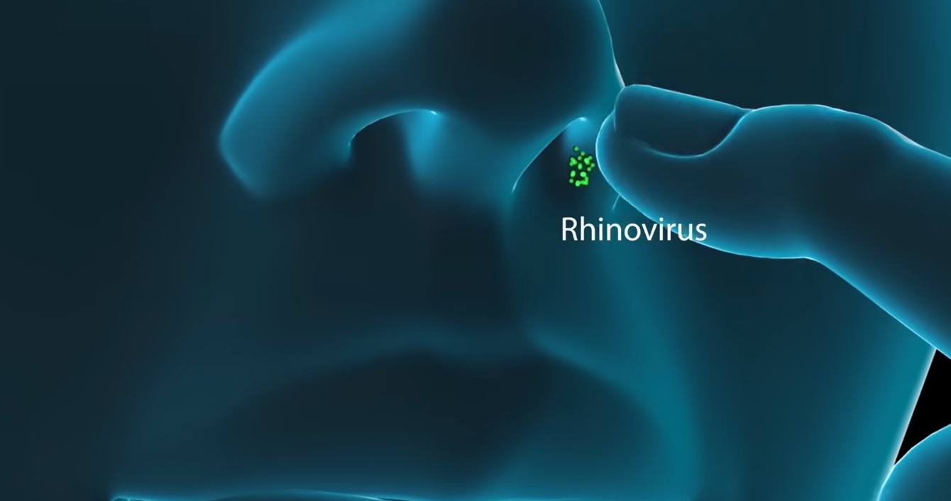 콧물이 계속 나는 이유
