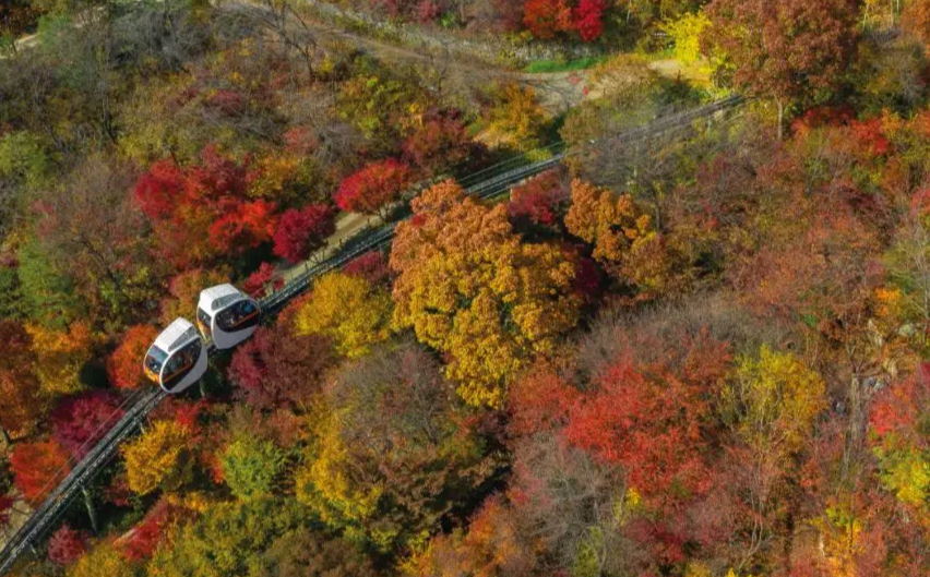 2024-화담숲-가을-단풍축제-예약-입장권-및-프로그램-예매