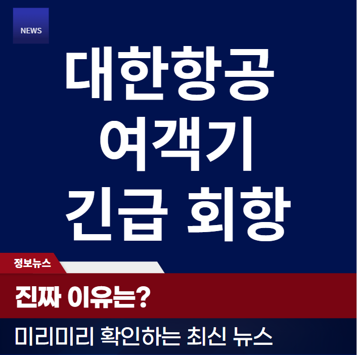 타이완행 대한항공 여객기, 긴급 회항의 진짜 이유는?