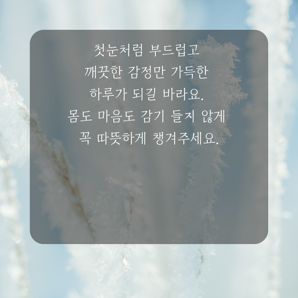 소설 인사말 겨울 인사말 이미지 문구 안부글 오음집 11월