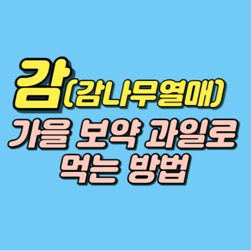 감 효능 부작용