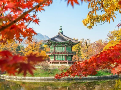 경기도 조상땅 찾기 신청방법 경기도 온라인 신청 방법 조회
