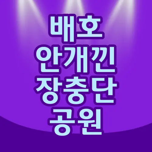 배호 안개낀 장충단 공원