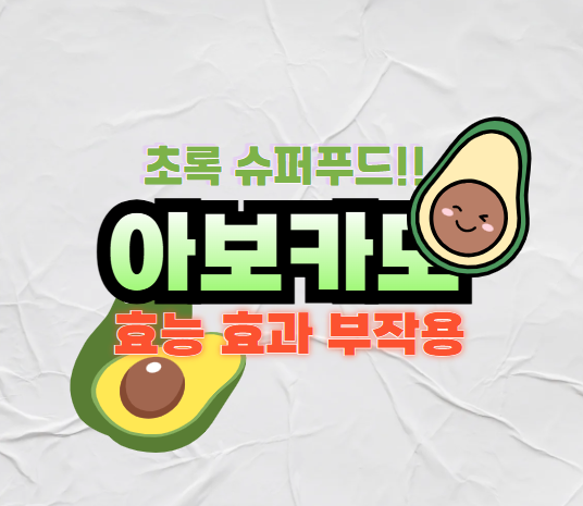 아보카도 효능 효과 부작용