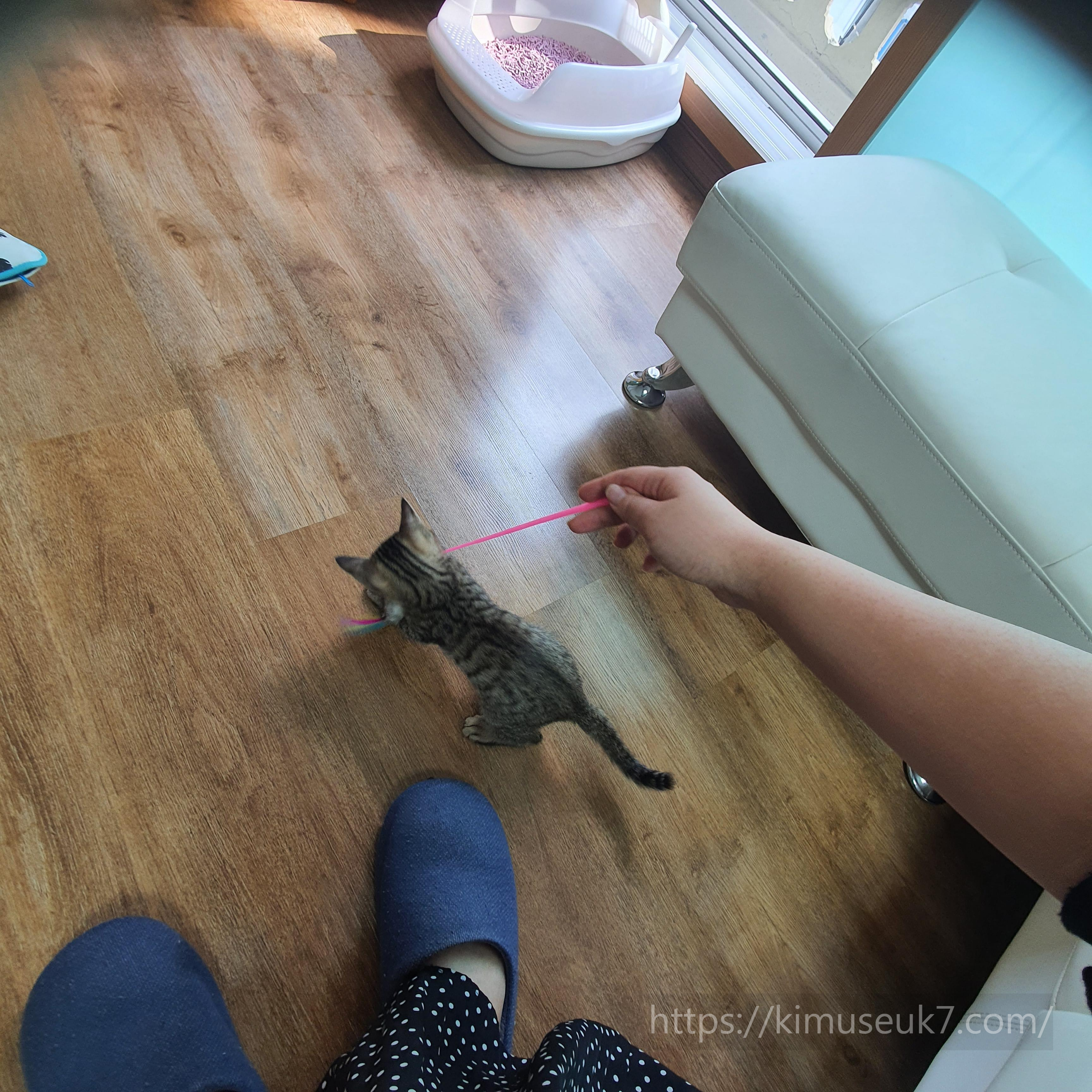 놀이가 시작되던 시기, 관계가 만들어지기 시작했다