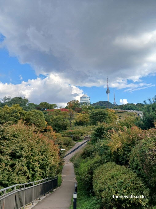 서울 단풍명소 남산 단풍길과 남산타워가 보이는 산책길