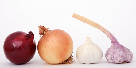 글루타치온 효능과 효과 부작용 완벽한 총정리