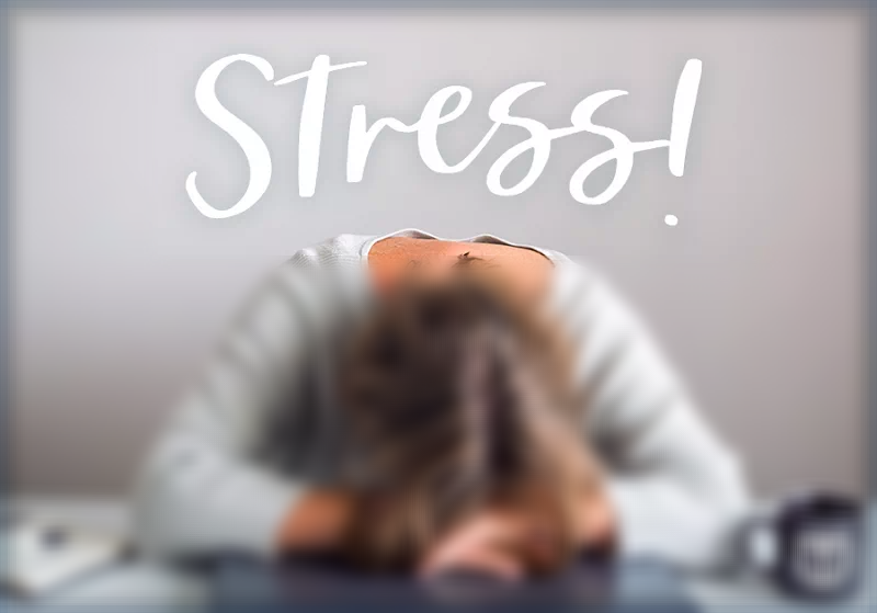 스트레스 관리