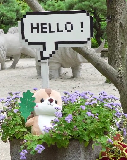 화담숲 수국 축제