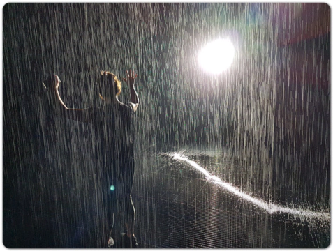 2022년 장마기간