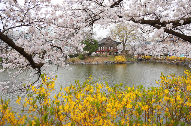 김천 동네별 세부 분석 &mdash; 실제 거주 기준으로 보는 김천 생활권 현실 비교