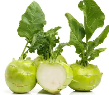 콜라비 효능 및 영양성분, 가격과 먹는법