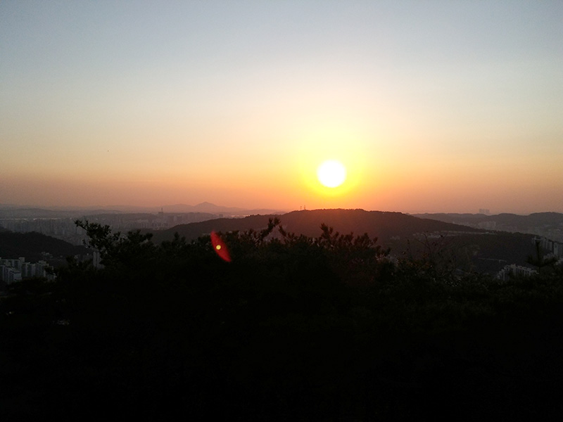인왕산(Inwangsan Mountain) 꽃돼지를 만나다!