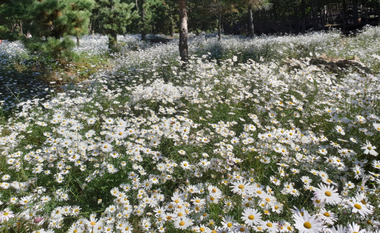 파주 율곡수목원