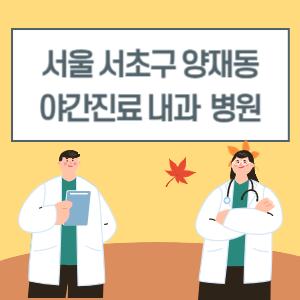 서초구 양재동 야간진료 내과 병원 리스트 (18시 이후 늦게까지하는 병원)
