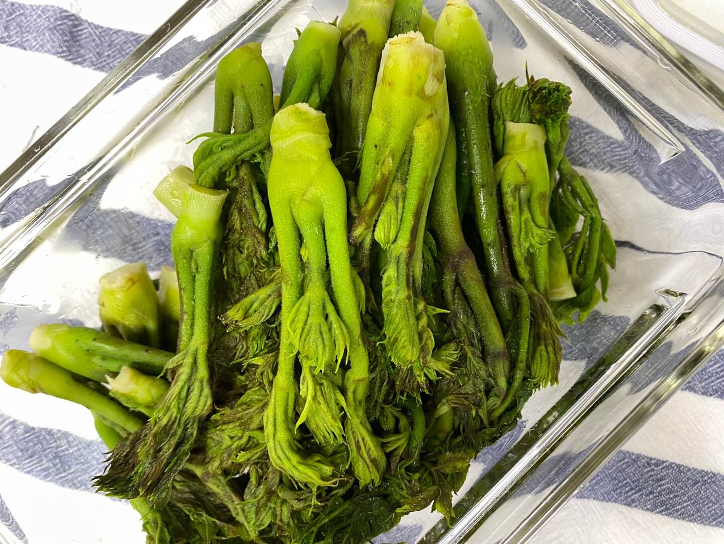 두릅 냉장보관