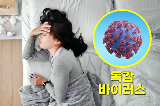 독감 합병증 인플루엔자 합병증