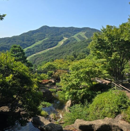 화담숲 예약하기